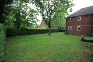 Communal Garden- click for photo gallery